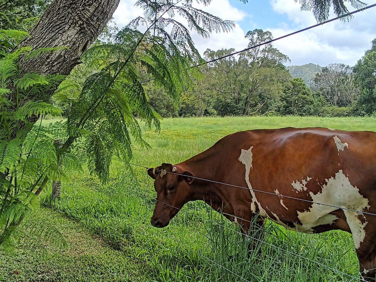 I’m back… Like I never&nbsp;left